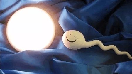 代怀选性别包生男孩代生医院